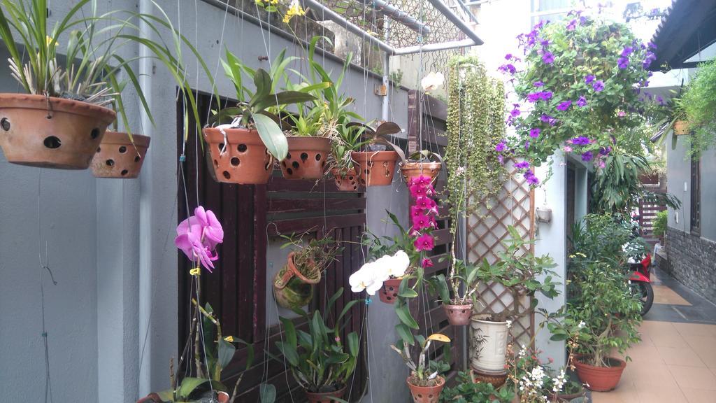 Green Coco Homestay Hoi An Eksteriør bilde